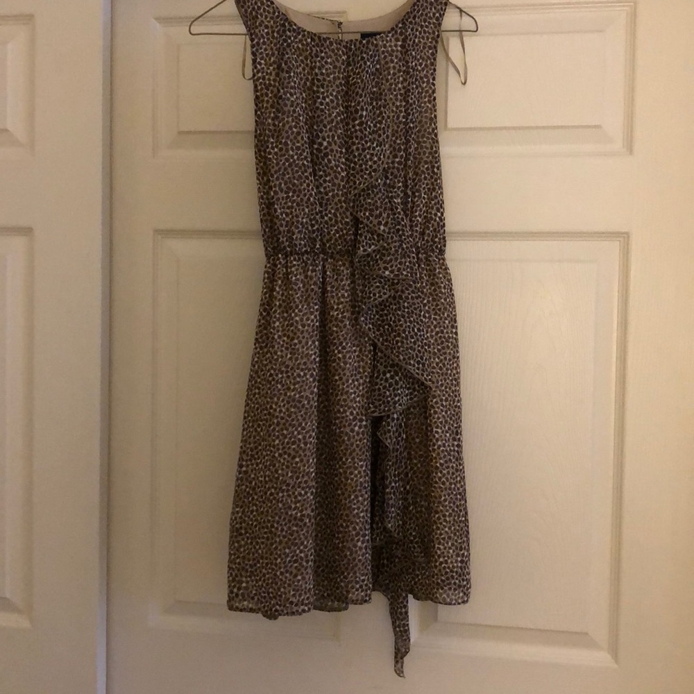 H&M Cheetah Print Dress